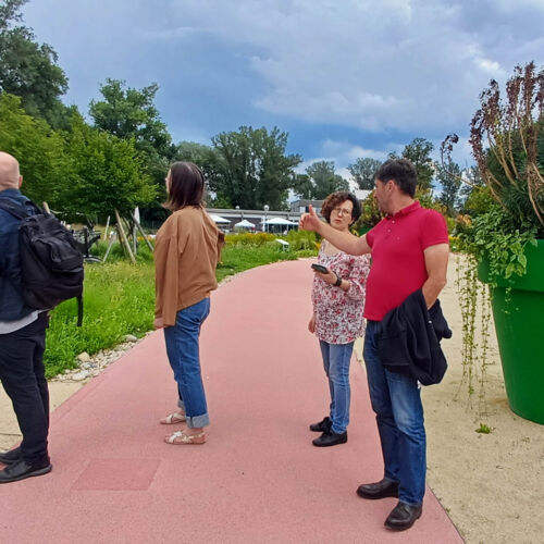 Copyright Sibylle Moser